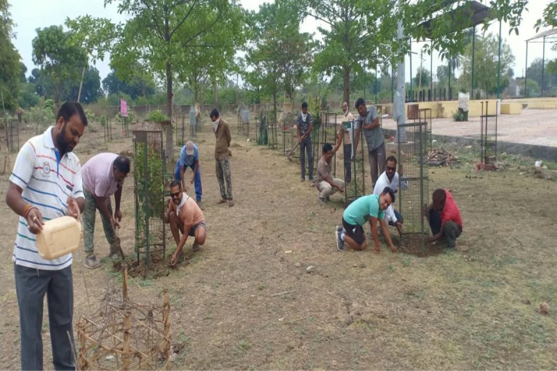 The committee has been working for environmental protection for 2613 days and has planted six thousand trees.