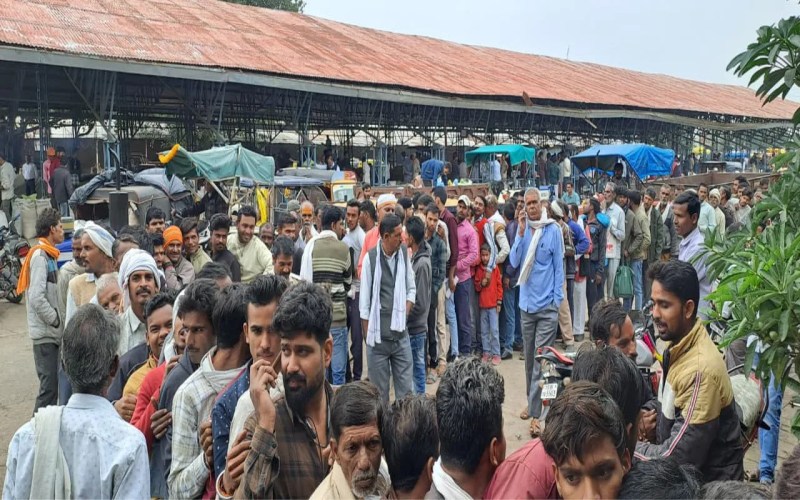 Farmers tried to snatch tokens, fertilizer distribution had to be stopped.