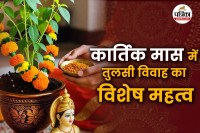 Tulsi Vivah 2025 Kab Hai, Tulsi Vivah 2025,Tulsi Puja,Dev Uthani Ekadashi,