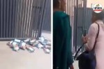 Viral Video of Diwali