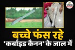 Photo: Patrika Network