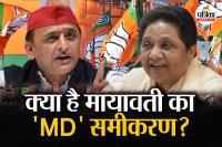 up politics mayawati md equation for defeat akhilesh yadav party sp and bjp in elections