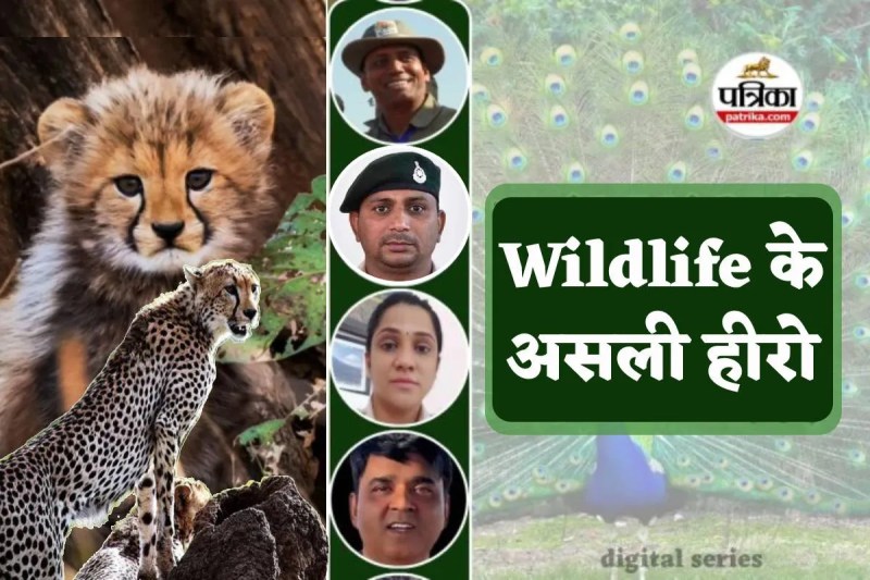 Wildlife ke Asli hero episode 2