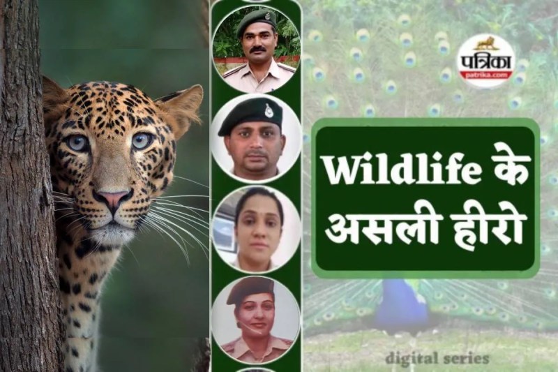 Wildlife ke asli hero patrika special real life challenges interesting stories