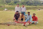 agar malwa