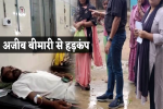 MP News