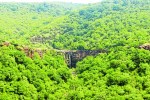 कालदां के जंगलों में फिर गूंजी बाघिन की दहाड़, मुनादी करवाई