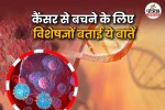 How to help avoid cancer later, Avoid Cancer Tips, Expert Tips On Cancer,