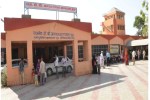 churu news