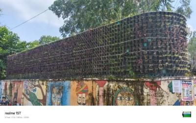 vertical garden