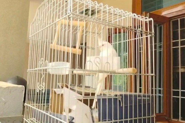 astermind Ramavatar Saini