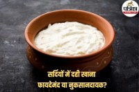 winter food tips , healthy food for winter, Lifestyle,Curd,Curd In Winter,Curd Benefits in winter,