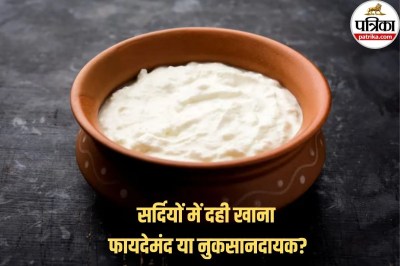 winter food tips , healthy food for winter, Lifestyle,Curd,Curd In Winter,Curd Benefits in winter,