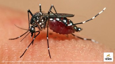 dengue cases rise health department alert anti larva spray awareness