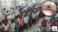 dengue malaria cases rise moradabad