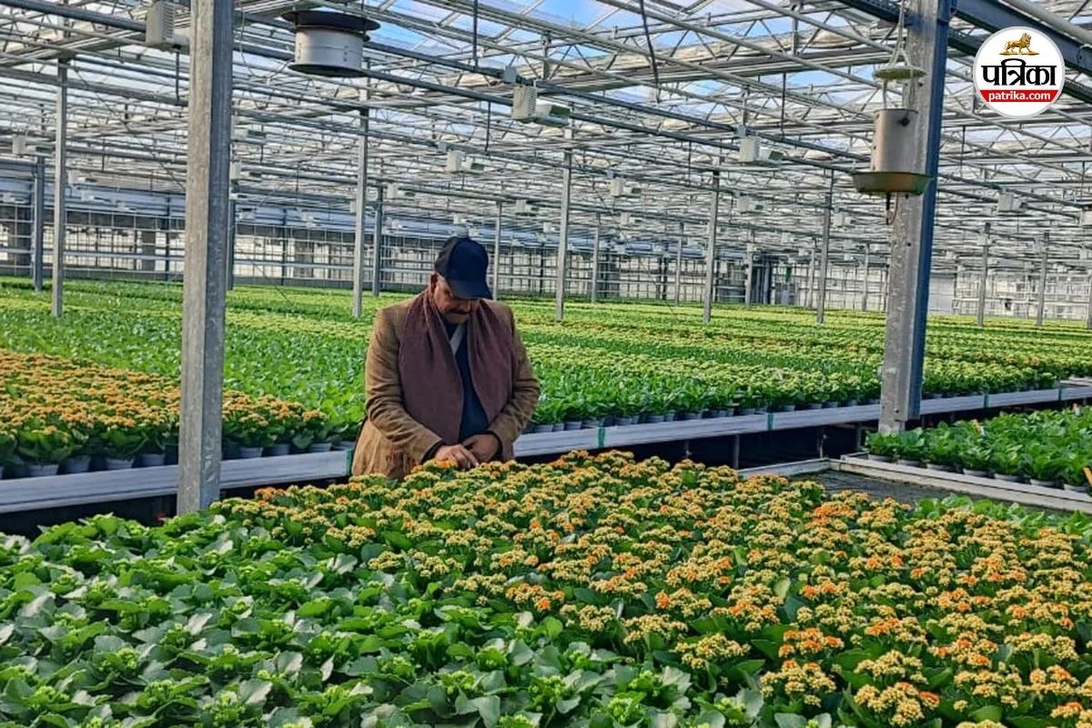 denmark farming