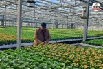 denmark farming