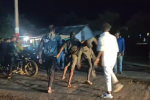 madai mela fight video viral youth beaten mandla mp news