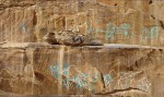 Discovery in Saudi Arabian desert