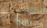 Discovery in Saudi Arabian desert