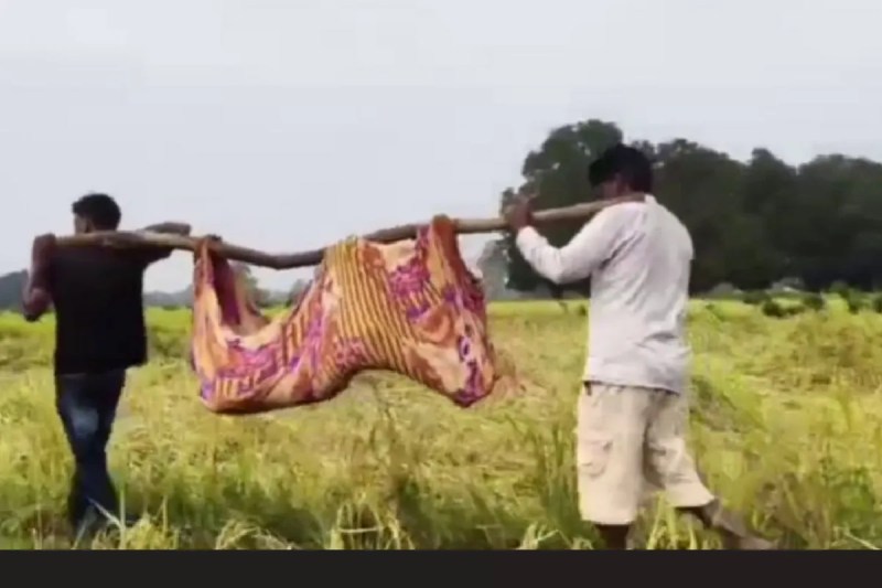 shahdol woman died slipping on swampy road Tragic video viral mp news