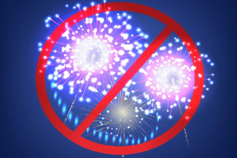 firecracker ban green diwali supreme court ngt orders mp news