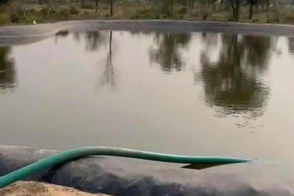 farm pond