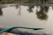 farm pond