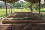 farmers scheme