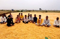 Badarwas Farmers