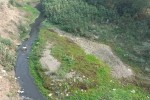 sonbhadrika river encroachment water pollution bhind mp news