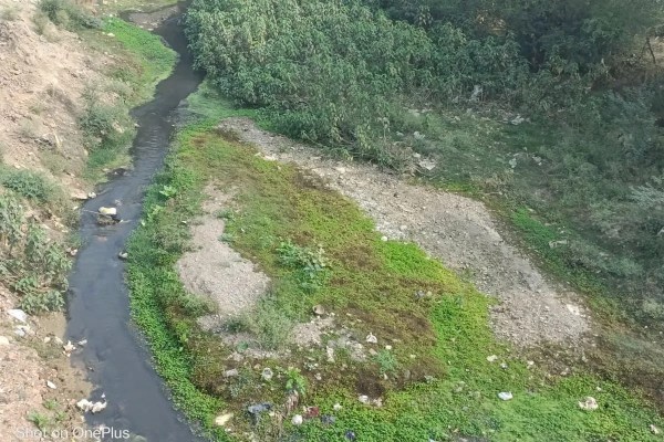 sonbhadrika river encroachment water pollution bhind mp news