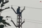 girl climbed high-tension pole