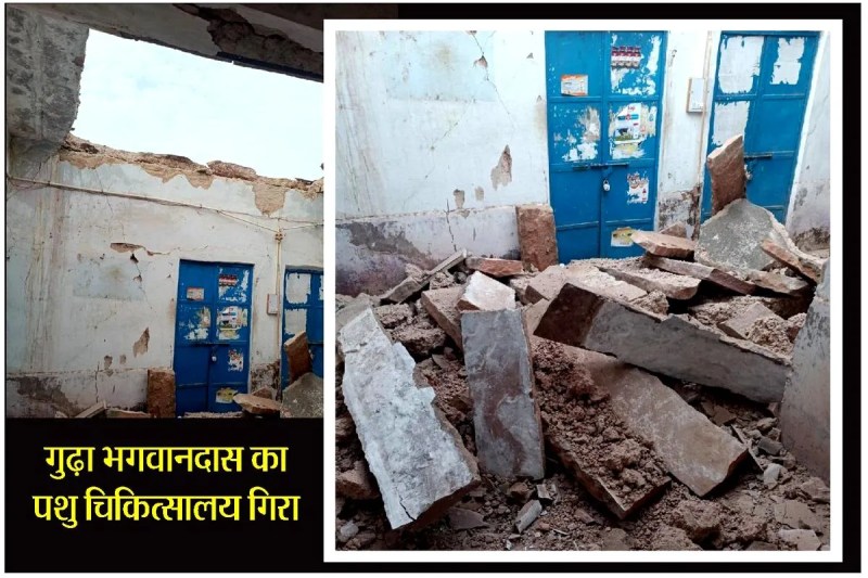 गुढ़ा भगवानदास के पशु चिकित्सालय भवन की गत दिनों पट्टियां तक गिर गईं।