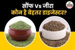 Cumin and Fennel for Bloating or Acidity,Science-Backed Benefits of Jeera,