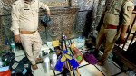 तहखाने में मिले सांप के बच्चे
