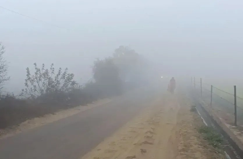 उत्तर पश्चिमी जिलों में छाई धुंध, पत्रिका फोटो