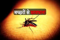 Mosquitoes Awareness