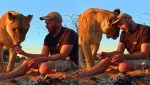 Man eats with lioness