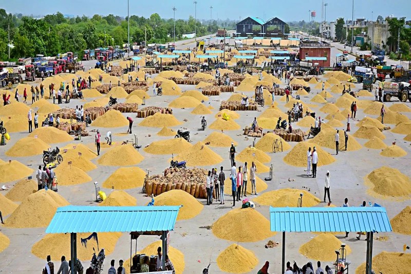 बूंदी मंडी में मध्यप्रदेश का धान सुविधाओं ने बदली किसानों की दिशा