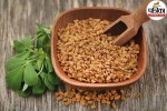 methi leaves benefits, Health Benefits Of Fenugreek Leaves, winter special,