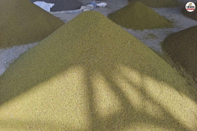 moong crop