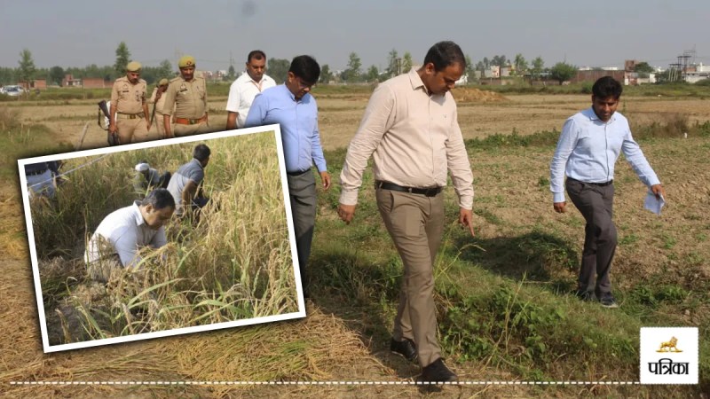 moradabad dm anuj singh crop cutting rice field