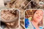 morena news