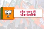 mp bjp