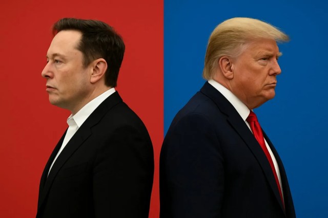 musk and trump