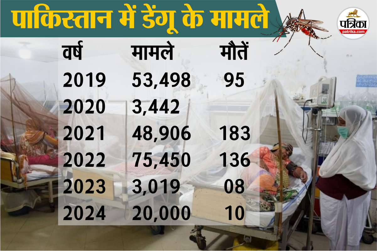 Dengue Cases in Pakistan