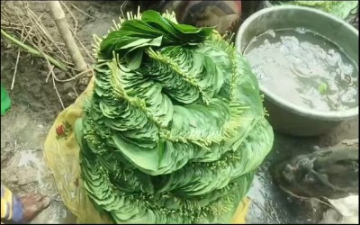 pan