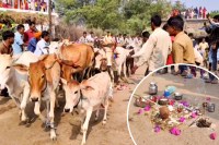 Strange Tradition