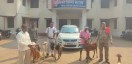 आठ बकरा, एक कार व दो मोटरसाइकिल जब्त, हट्टा पुलिस को मिली सफलता